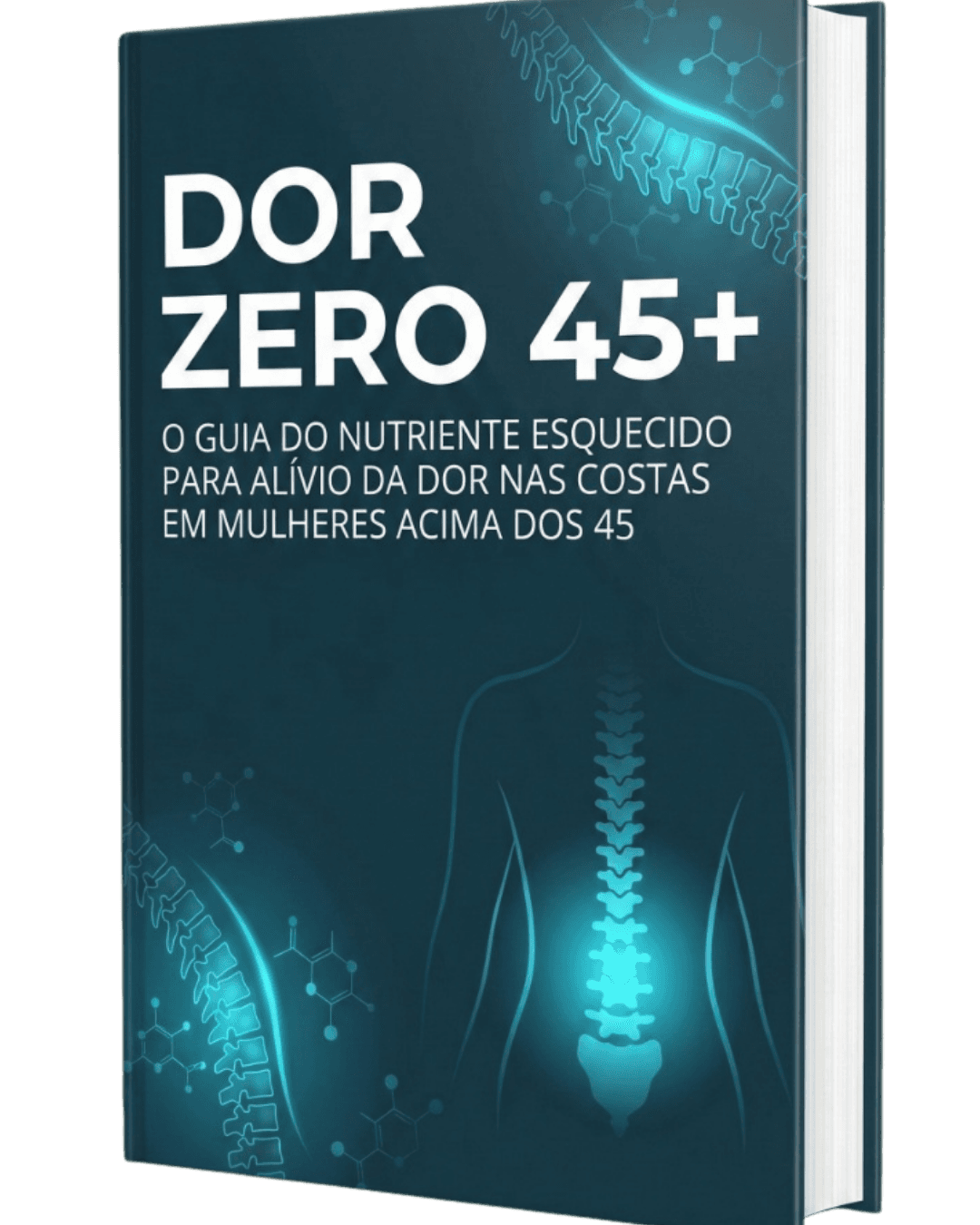 DorZero-45+ logo