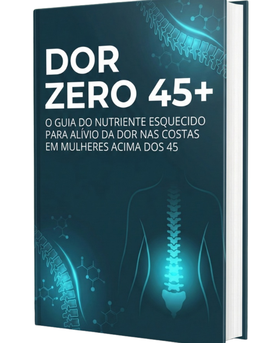 DorZero-45+ logo